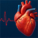 Basics of Cardiovascular Risk Assessment - Tools and Applications