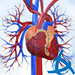 CLEVER Prípady virtuálnych pacientov z kardiológie
