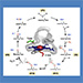 CYTOCHROME P-450: genetic and population aspects