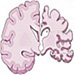 annotation image