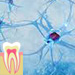 Neurology - lectures for students of Dental Medicine